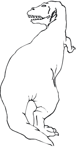 Tyrannosaurus From The Back Coloring Page